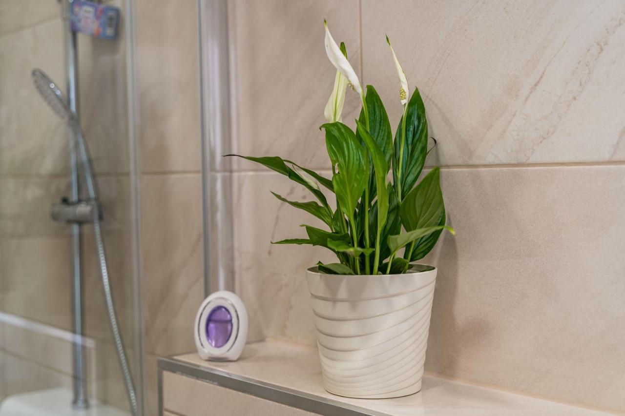 Apartmani Kralj Dubrovnik Ngoại thất bức ảnh